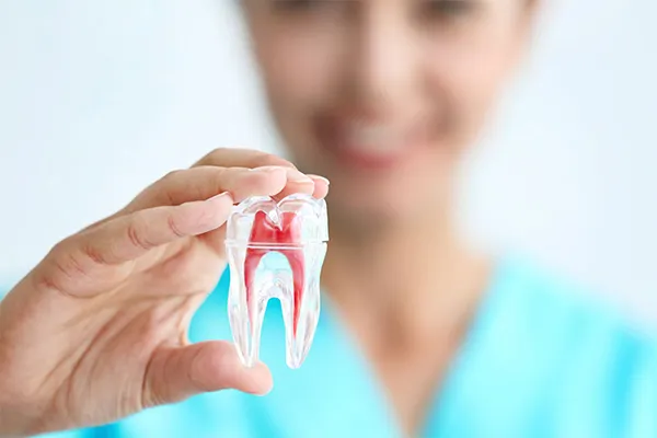 Dr. Shvarts gives you the smile of your dreams